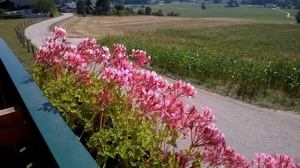 - Sonnenhof