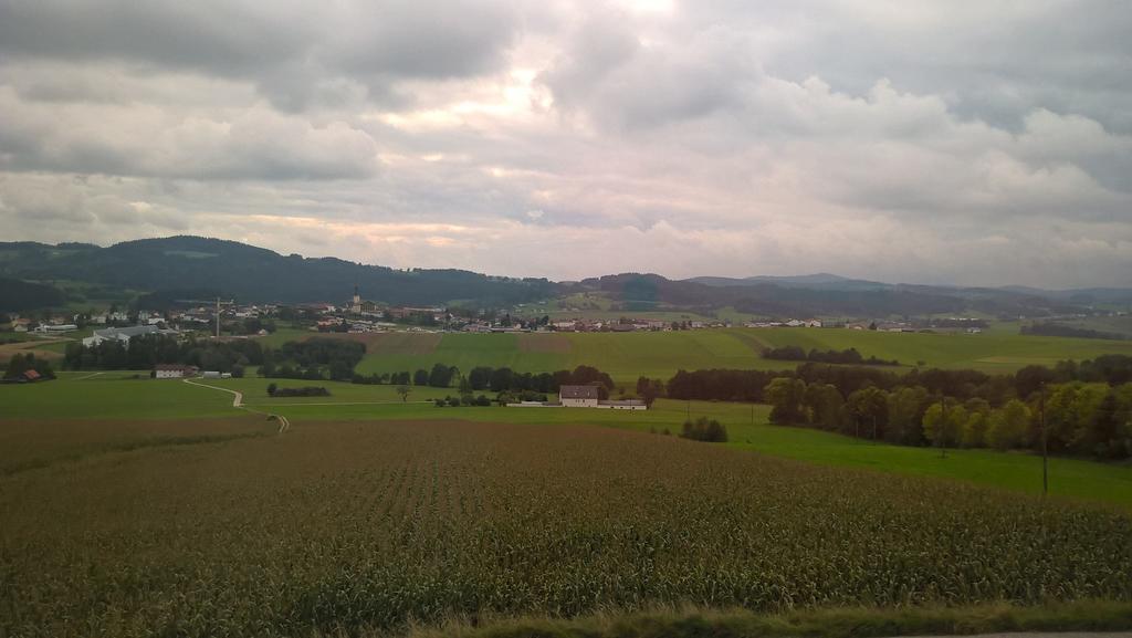 - Sonnenhof